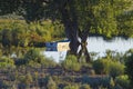 Small rowboat and reflection on little runoff pond in the fading light of a southwestern summer sunset Royalty Free Stock Photo