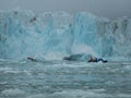 A small rubber boat in the arctic ocean Royalty Free Stock Photo