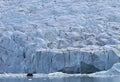 Small rubber boat in front of a glacier front