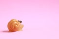 Small rubber snail toy on a pink background