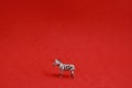 Small rubber zebra toy isolated on a red background