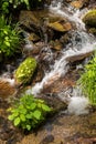 Small Running Creek Royalty Free Stock Photo