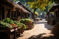 A small rustic village market with vendors