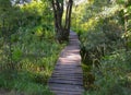 Small rustic wooden bridge Royalty Free Stock Photo