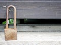 Small rusty lock standing on a moss-covered wood. Close up macro Royalty Free Stock Photo