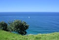 Small sail boat in open ocean