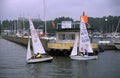 Small sail boats race