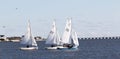 Small sailboats in the great south bay in the winter Royalty Free Stock Photo