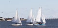 Small sailboats in the great south bay in the winter Royalty Free Stock Photo