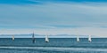 Small sailboats in the Pacific ocean near Santa Barbara, California