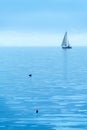 A small sailing yacht on the Lake Geneva and the Alps, Switzerland Royalty Free Stock Photo
