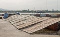 Small salted fish dried under the sunlight Danang, Vietnam 2016 Royalty Free Stock Photo