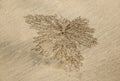 A small sand crab nest Royalty Free Stock Photo