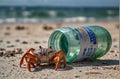 AI GENERATED, A small sand crab with a plastic bottle on the beach. Royalty Free Stock Photo
