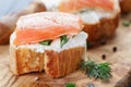 Small sandwiches with soft cheese and salmon Royalty Free Stock Photo