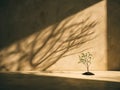 Small sapling with shadow of a larger plant on a textured wall Royalty Free Stock Photo
