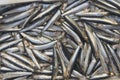Many small sardines on street sea food and fish market in Naples, Italy. Fresh raw pilchard is main compound of mediterranean diet