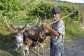 Small scale farmer on the road with laden donkey