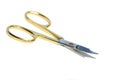 Small scissors Royalty Free Stock Photo
