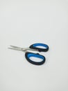 Small scissors with black blue handles Royalty Free Stock Photo