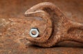 Small nut in wrench jaws Royalty Free Stock Photo