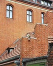 Small sculpture of an old man holding a fish sitting at brick wall of house in Torun, Poland