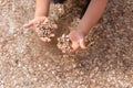 Small sea shells in the water and on children's hands. Royalty Free Stock Photo