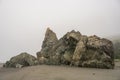 Small Sea Stack Exposed At Low Tide In Redwood Royalty Free Stock Photo