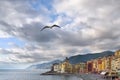 The seagull immersed in a cloudy sky flying over the Church of Santa Maria in Camogli, Liguria, Italy