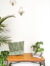 Small seating nook in Scandinavian design with lots of natural bright light and green houseplants creating a jungle feeling