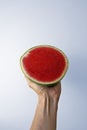 Small seedless watermelon on hand in a bright background