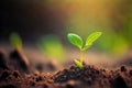 Small seedling of a young plant on the ground with a green bokeh background