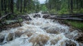 A small seemingly insignificant stream turned into a raging force through the landscape and uprooting trees Royalty Free Stock Photo