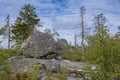 Small seid on Vottovaara mountain, August day. Karelia Royalty Free Stock Photo