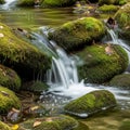 A small, serene waterfall flows over moss-covered rocks in a forest Royalty Free Stock Photo