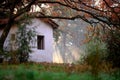 Small shack in the woods Royalty Free Stock Photo