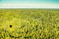 Small shadow of hot air balloon in distance over pine tree forest