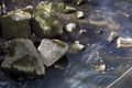 Stream flowing through group of rocks