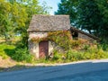 A small shed adorned with climbing roses