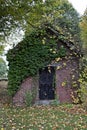 Small shed covered with ivy with colorful leaves on the ground.