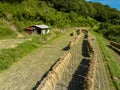 Small shed and rice drying in field on small farm in hills