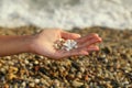 The small shells in the arm. Vacation at sea, pebbles seashore