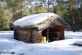 A small shelter in a forest