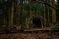a small shelter in the middle of the woods surrounded by fallen leaves Royalty Free Stock Photo