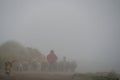Small shepherd boy and his dog walking away behind a herd of sheep in heavy mist or fog Royalty Free Stock Photo