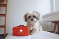 Small Shi Tsu dog with first aid kit. Generative AI