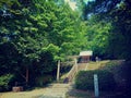 Small shinto shrine in Sado island, Japan Royalty Free Stock Photo