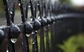 Small, shiny drops of water adorn a black metal fence.