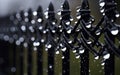 Small, shiny drops of water adorn a black metal fence.