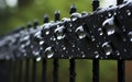 Small, shiny drops of water adorn a black metal fence. Royalty Free Stock Photo